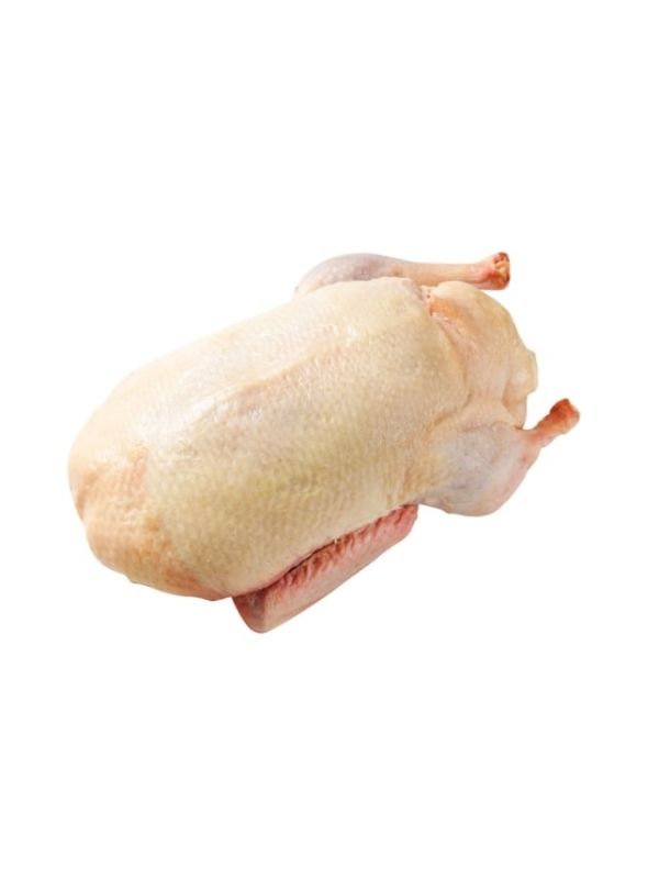 ΠΑΠΙΑ ΟΛΟΚΛΗΡΗ ΧΩΡΙΣ ΕΝΤΟΣΘΙΑ ΠΟΛΩΝΙΑΣ 2.4kg