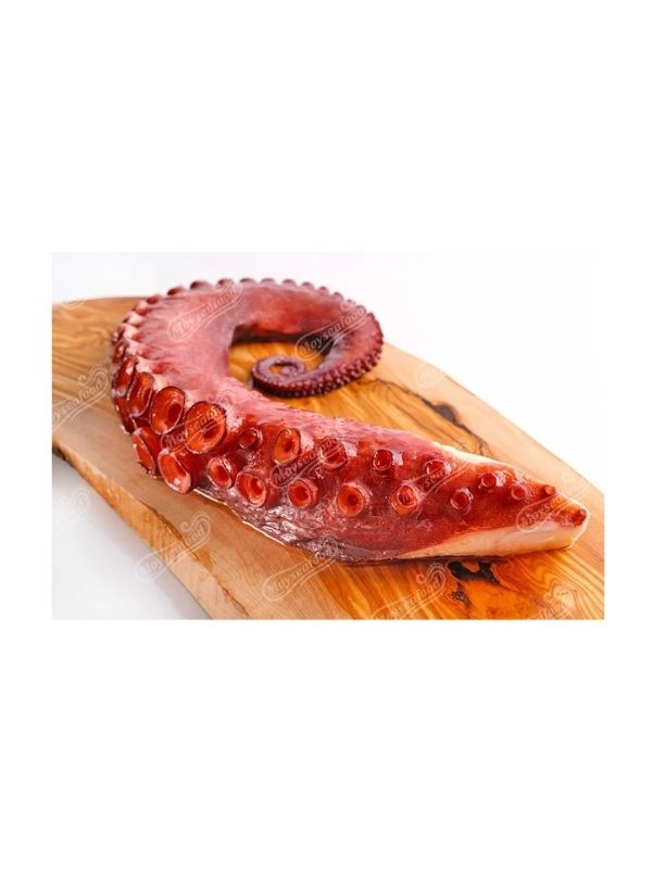 Χταπόδι Μαρόκου πλοκάμι Medium 2kg Moyseafood