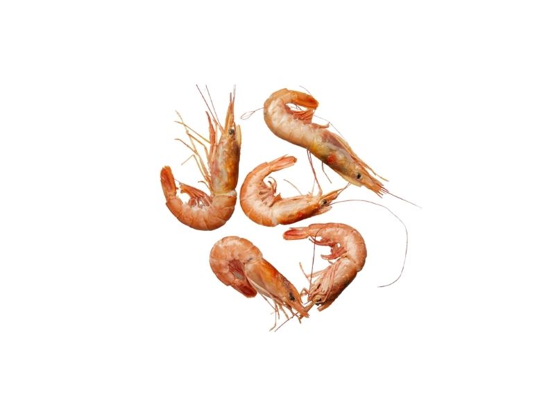 Argentina's Shrimp No1 Sea frozen 6X2kg