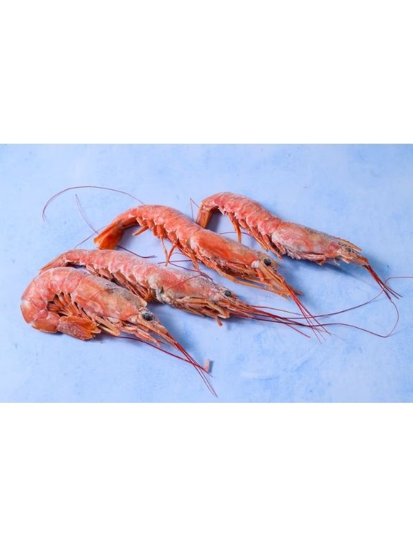Atlantic Shrimp No1 10/20 LF 2kg Surf 'n Turf