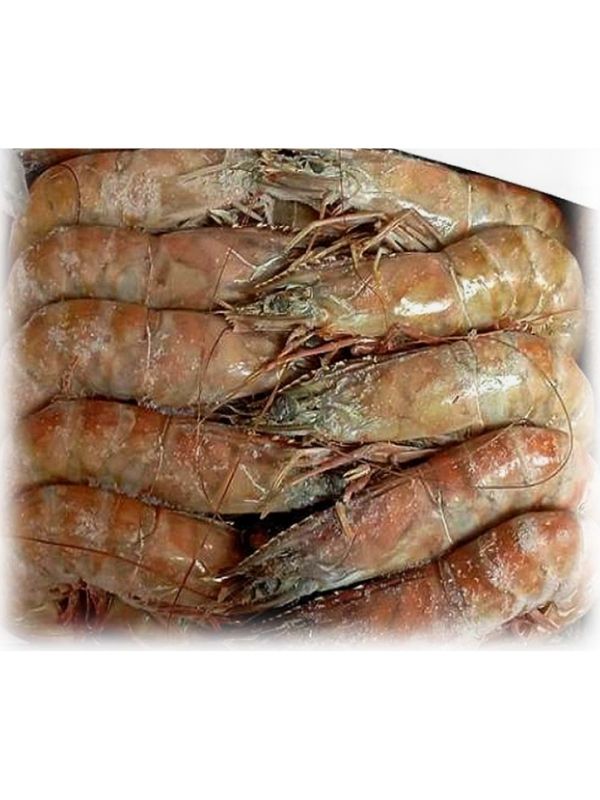 ATLANTIC SHRIMPS No4 9x2kg