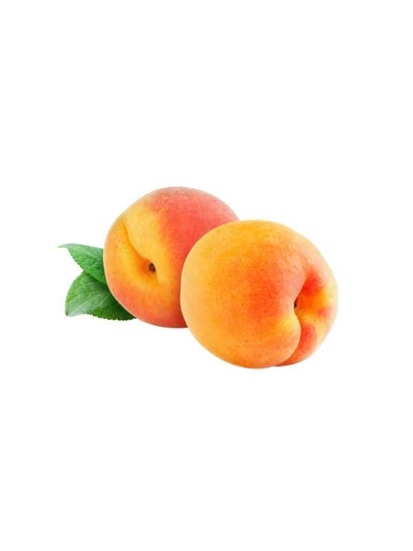 FRUIT PUREE APRICOT 6x1kg CARAMAN