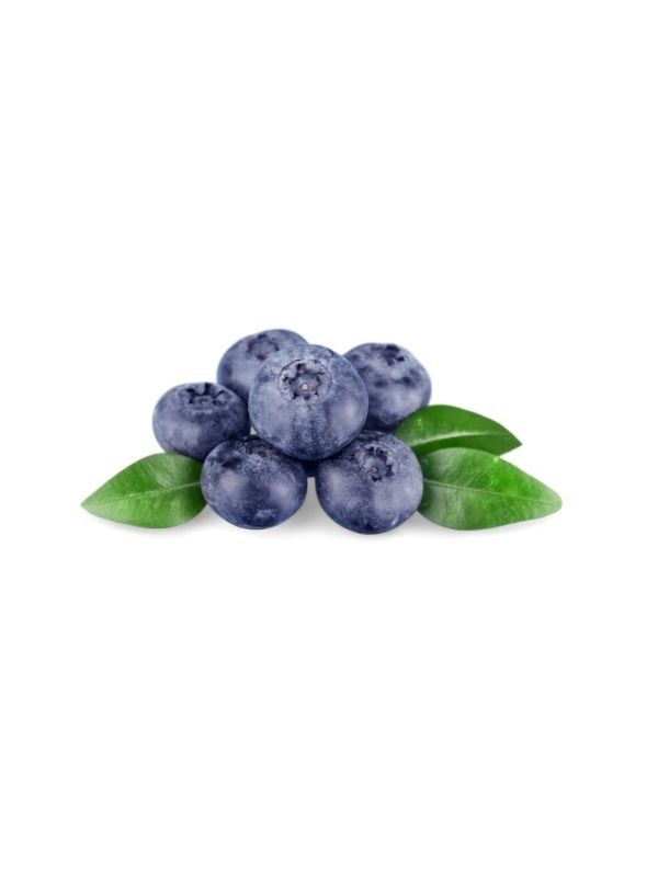 FRUIT PUREE BLUEBERRY 4x1kg CARAMAN