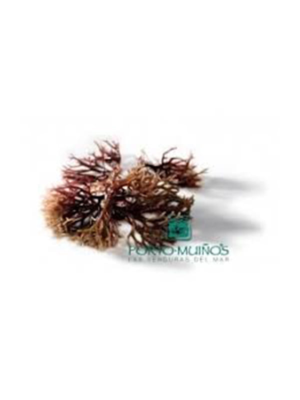 Algatinado αλατισμένο 200g PORTO MUINOS