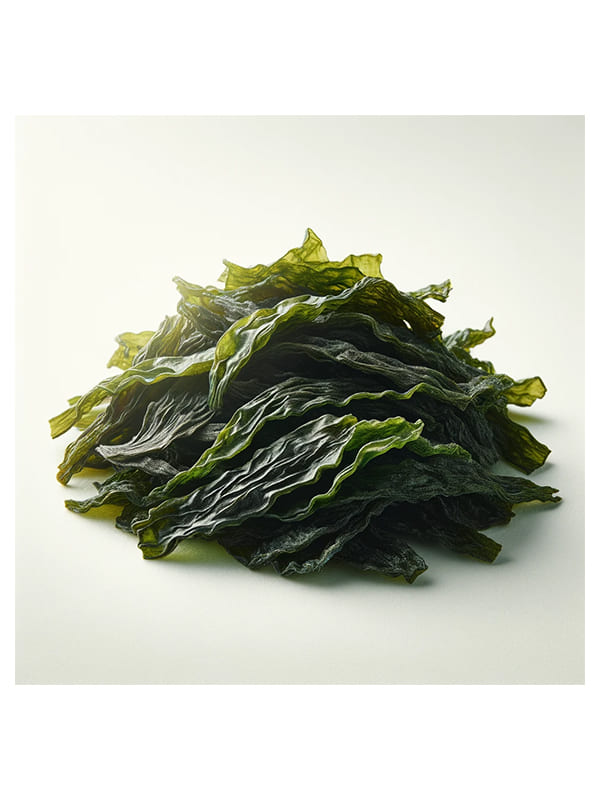 Dried Wakame 100g PORTO MUINOS