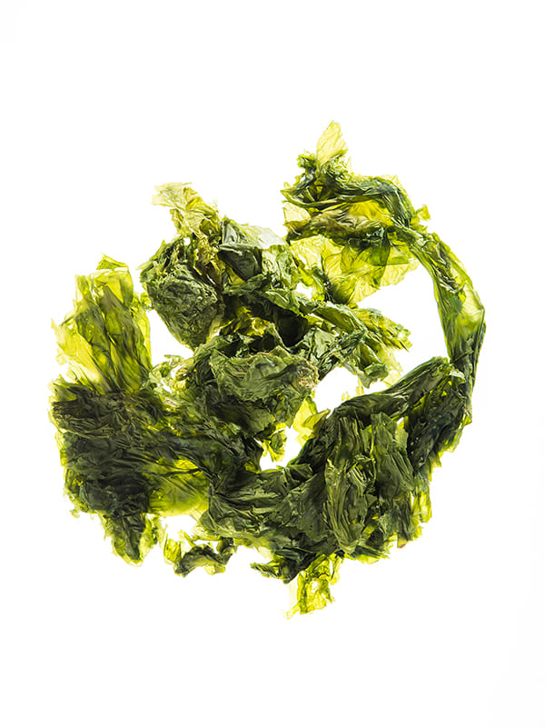 Dried Sea lettuce 100g PORTO MUINOS