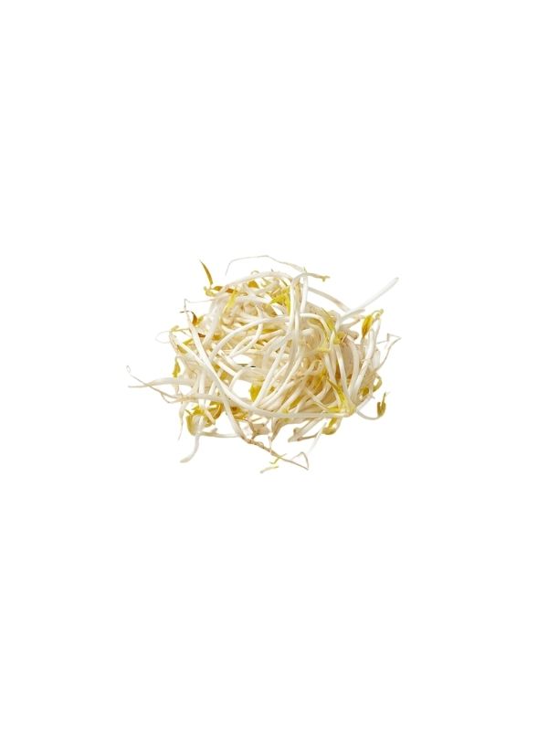 BEAN SPROUTS OEM 24X420gr