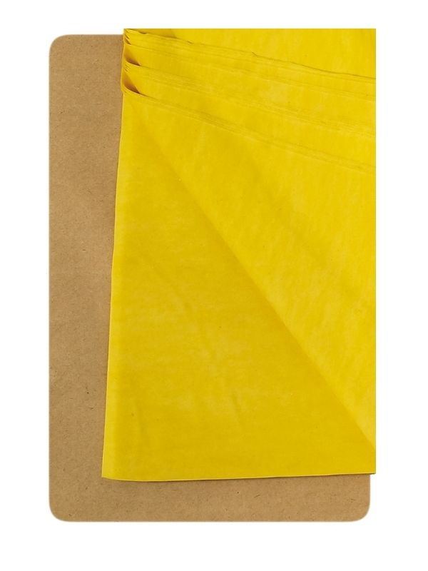 FINE FILLO PASTRY YELLOW SLAB 1X10kg KASSANDRA