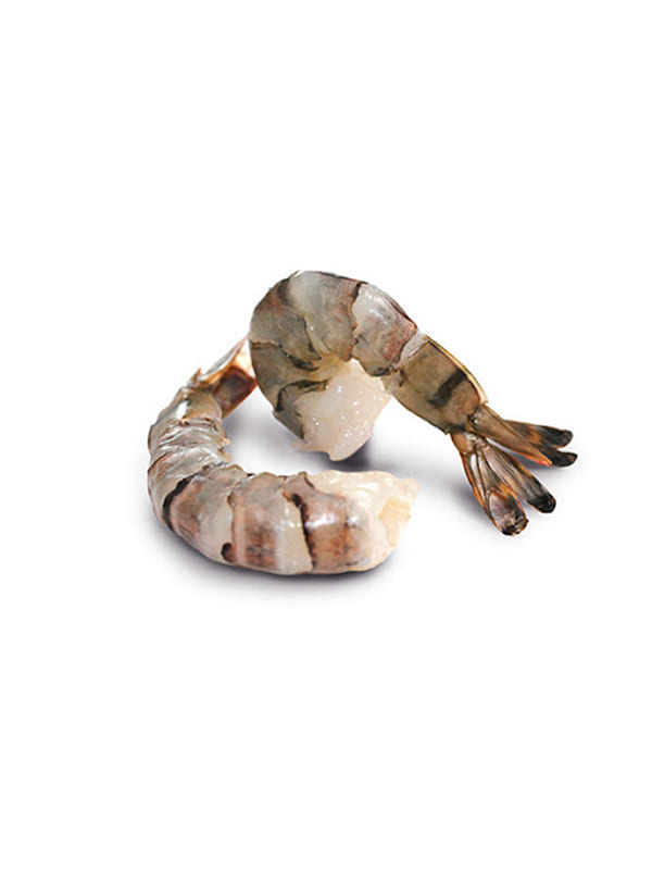 Headless peeled shrimps with tail 16-20 20X500gr