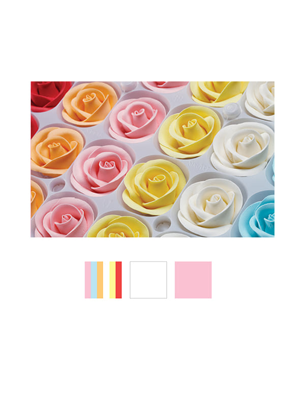 Roses large assorted (1pack x 24pcs)