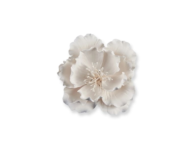 ΛΟΥΛΟΥΔΙ ΠΑΙΩΝΙΑ ΛΕΥΚΗ 20Χ1πακ